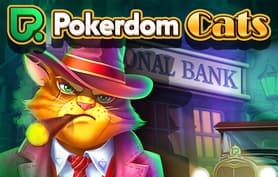 Pokerdom Cats - Playbro